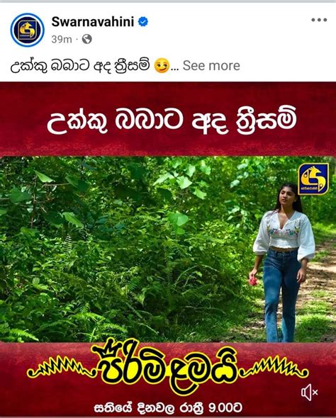 සිංහල උපසිරස – බයිස්කෝප් මංසල.